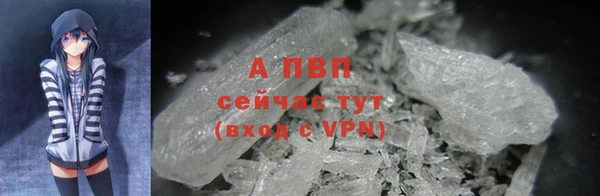 каннабис Богданович