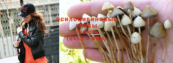МДПВ Богородицк