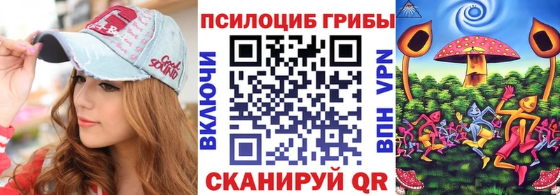 omg вход  Саяногорск  Галлюциногенные грибы Magic Shrooms 